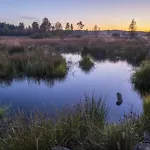 Le Grand Cerf 25 Pers, Malmedy- Rustique, Jardin Шале
