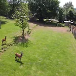 Le Grand Cerf 25 Pers, Malmedy- Rustique, Jardin * Мальмеди