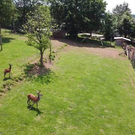 Le Grand Cerf 25 Pers, Malmedy- Rustique, Jardin * Malmedy