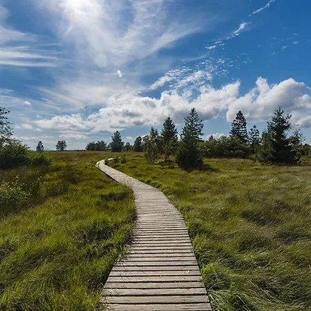 Le Grand Cerf 25 Pers, Malmedy- Rustique, Jardin * Malmedy